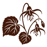 Horny Goat Weed (Icariin)