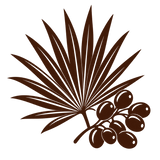 Saw Palmetto